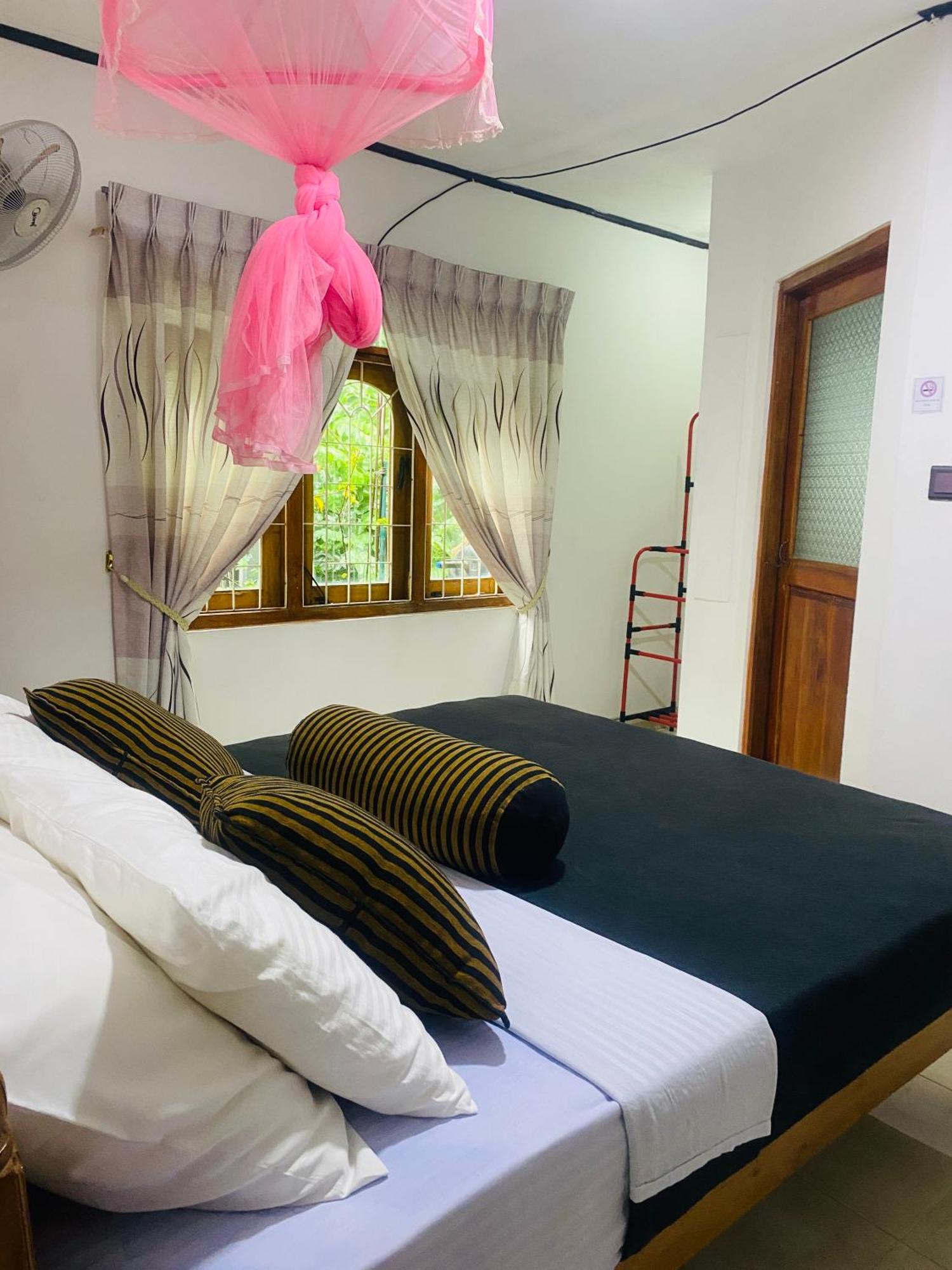 Blossom Inn إيلا المظهر الخارجي الصورة