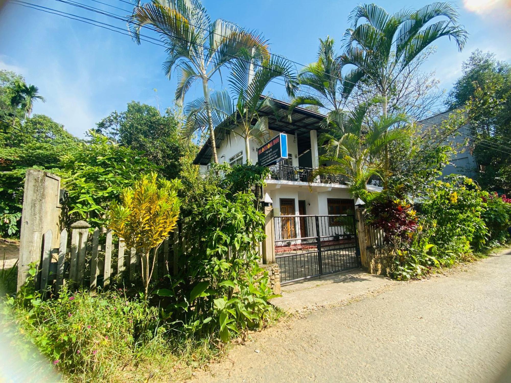 Blossom Inn إيلا المظهر الخارجي الصورة